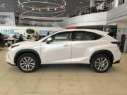 Lexus NX I Рестайлинг Казань  - изображение 32