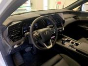 Lexus RX V Челябинск  - изображение 44