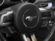 Ford Mustang VI Рестайлинг Ростов-на-Дону  - изображение 29