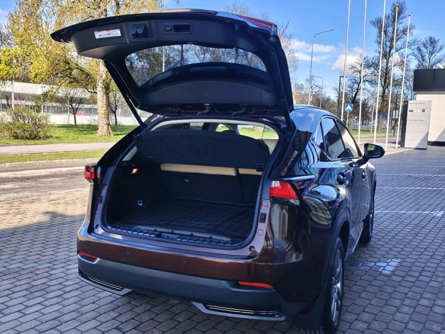 Lexus NX I Санкт-Петербург  - изображение 16