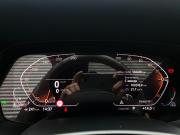 BMW X7 I (G07) Москва  - изображение 57