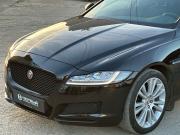 Jaguar XF II Пермь  - изображение 45