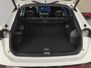Volkswagen Tiguan III (China Market) Нижний Новгород  - изображение 24