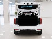 Haval Jolion I Самара  - изображение 39
