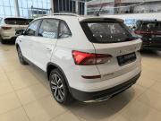 Skoda Kamiq I (China Market) Казань  - изображение 30