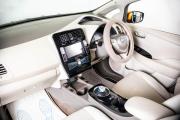 Nissan Leaf I (ZE0/AZE0) Пермь  - изображение 35
