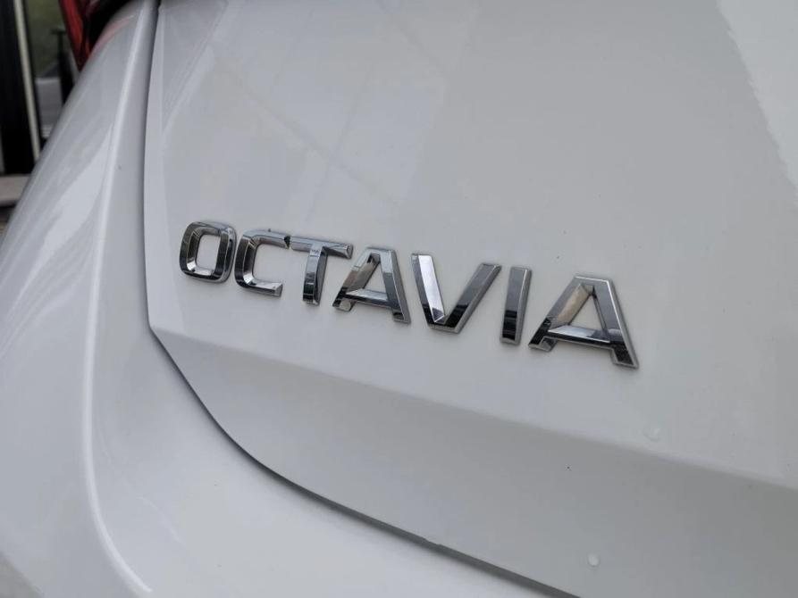 Skoda Octavia IV (A8) Екатеринбург  - изображение 38