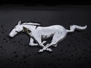 Ford Mustang VI Рестайлинг Москва  - изображение 35