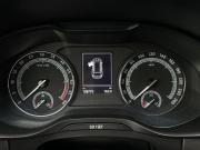 Skoda Kodiaq I Альметьевск  - изображение 43