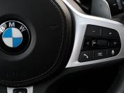 BMW X7 I (G07) Москва  - изображение 62