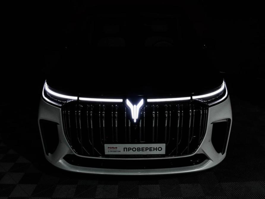 Voyah Dream I Москва  - изображение 20
