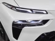 BMW X7 I (G07) Рестайлинг Москва  - изображение 48