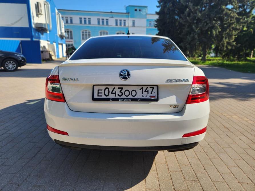 Skoda Octavia III (A7) Великий Новгород  - изображение 8