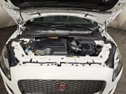 Jaguar E-Pace I Москва  - изображение 34