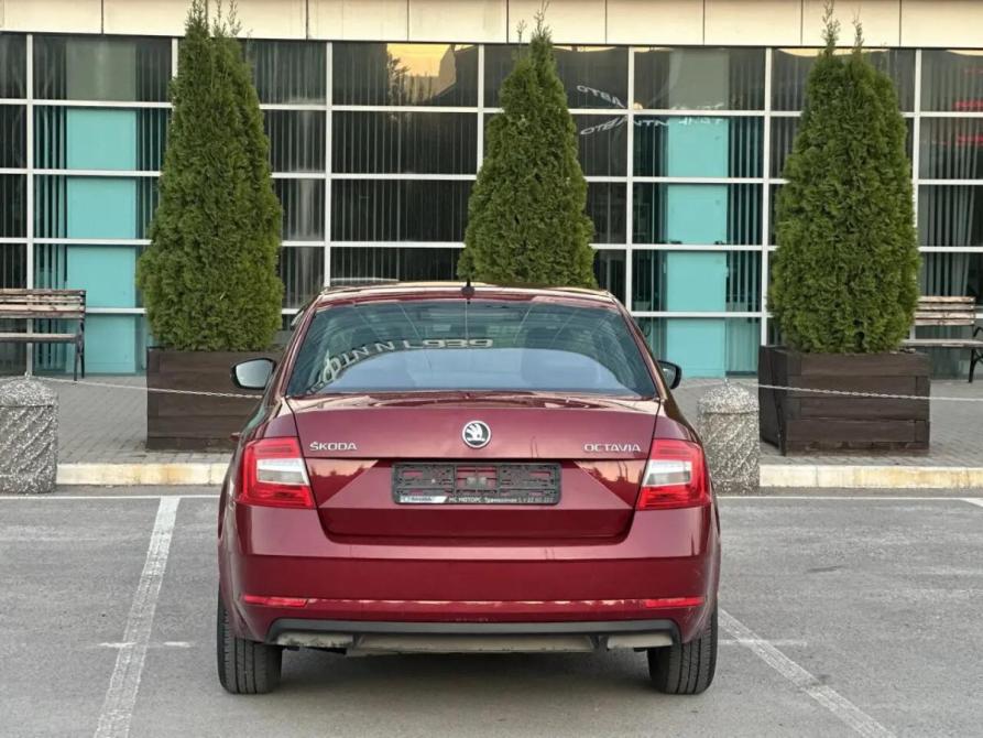 Skoda Octavia III (A7) Рестайлинг Уфа  - изображение 5