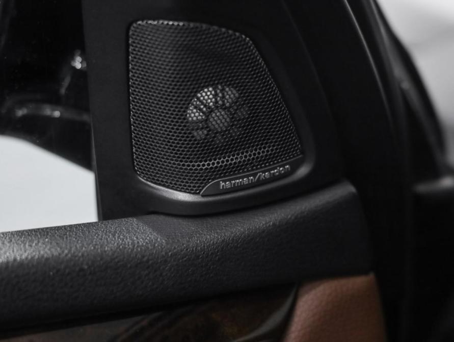 BMW X5 III (F15) Санкт-Петербург  - изображение 25