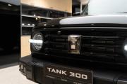Tank 300 I Санкт-Петербург  - изображение 26