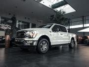 Ford F-150 XIV Ростов-на-Дону  - изображение 40