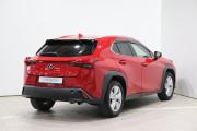 Lexus UX I Иркутск  - изображение 25