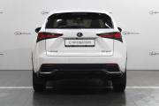 Lexus NX I Рестайлинг Владивосток  - изображение 29