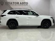 Volkswagen Teramont II (China Market) Воронеж  - изображение 24