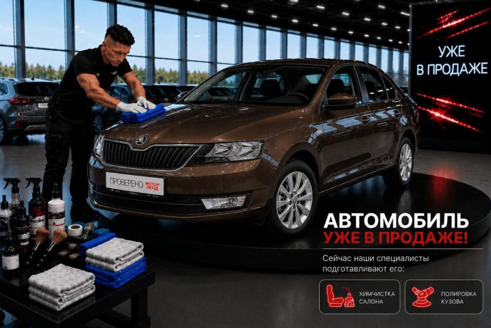 Skoda Rapid I Рестайлинг Воронеж  - изображение 2
