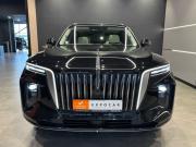 Hongqi E-HS9 Нижний Новгород  - изображение 10