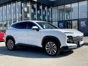 JETOUR DASHING I Краснодар  - изображение 37