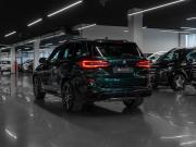 BMW X5 IV (G05/G18) Москва  - изображение 38