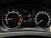 Skoda Rapid I Рестайлинг Альметьевск  - изображение 34