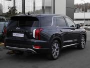Hyundai Palisade I Москва  - изображение 28
