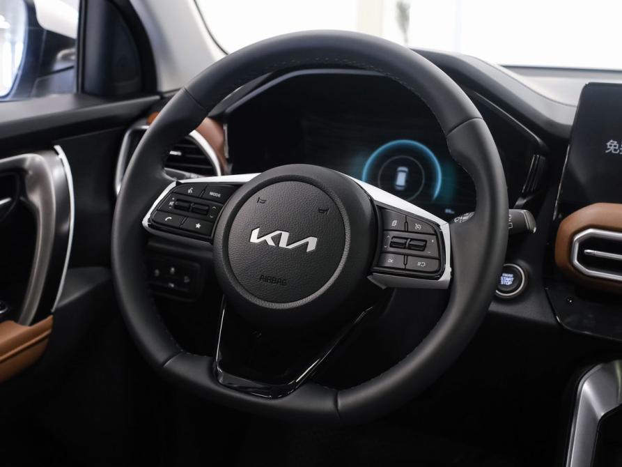 Kia Sportage (China) III (NP) Рестайлинг Самара  - изображение 11