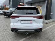 Chery Tiggo 8 Pro Max I Рестайлинг Набережные Челны  - изображение 34