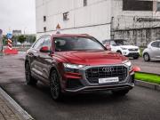 Audi Q8 I (4M) Санкт-Петербург  - изображение 46