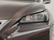 Lexus NX I Москва  - изображение 52