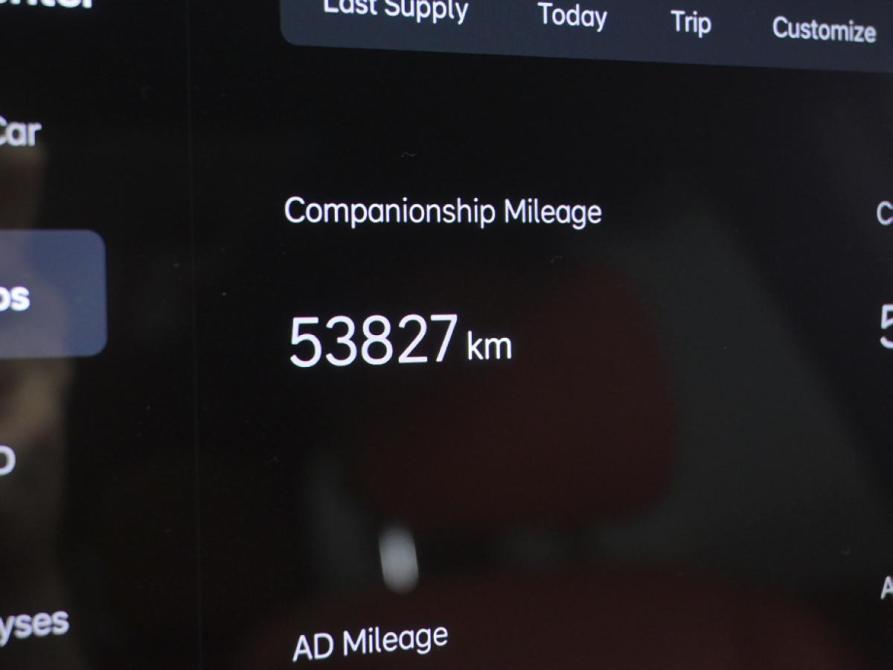 Li Auto (Lixiang) L9 I Рестайлинг Москва  - изображение 12