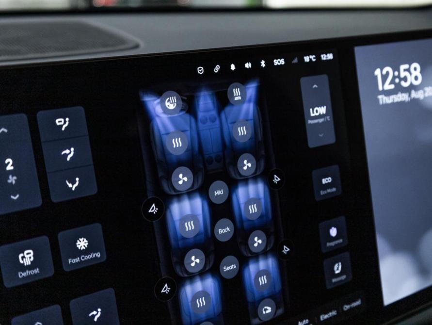 Li Auto (Lixiang) L9 I Санкт-Петербург  - изображение 20
