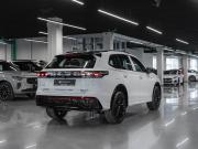 Volkswagen Tiguan III (China Market) Москва  - изображение 40