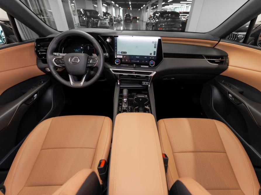 Lexus RX V Москва  - изображение 8