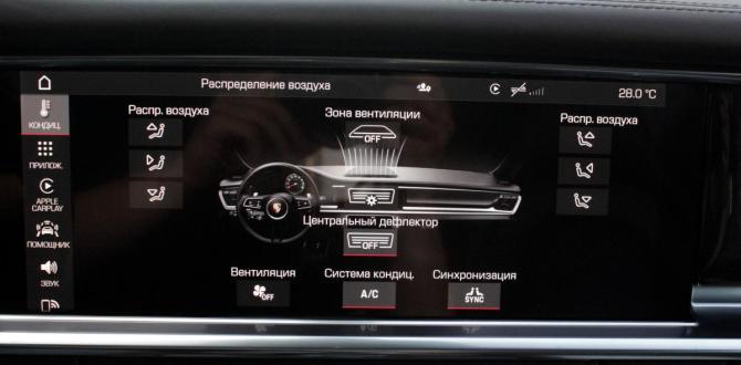 Porsche Panamera II Рестайлинг с пробегом 2020 года, цена 10 000 000 рублей, 39450 км, универсал, Автокод Объявления