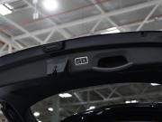 Kia Sorento IV Санкт-Петербург  - изображение 50