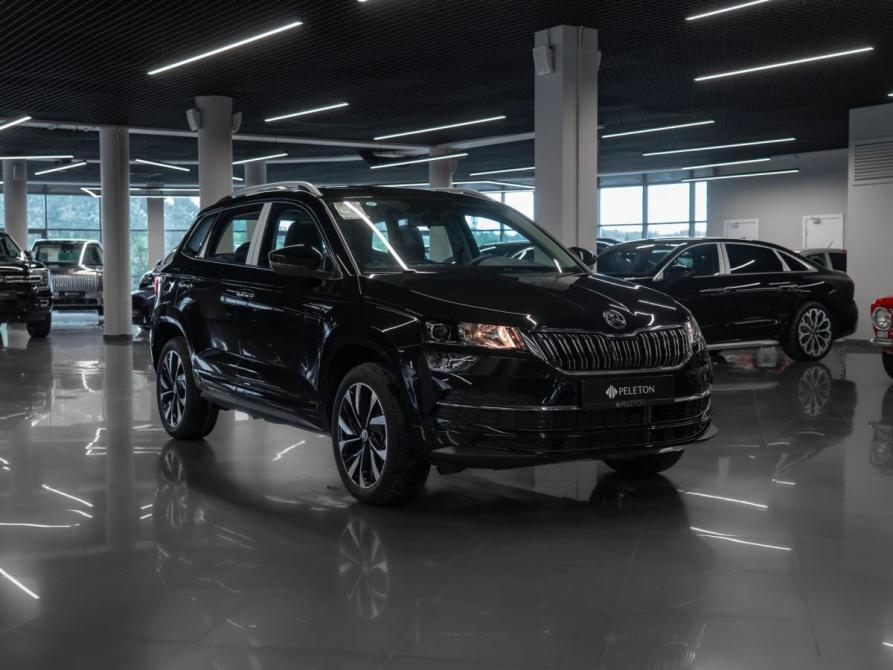 Skoda Karoq I Москва  - изображение 2