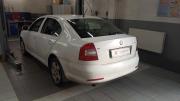 Skoda Octavia II (A5) Рестайлинг Санкт-Петербург  - изображение 10