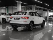 Skoda Kamiq I (China Market) Москва  - изображение 27