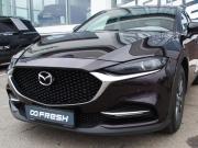 Mazda CX-4 I Рестайлинг Владимир  - изображение 52