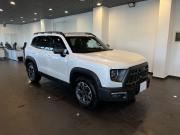 Haval Dargo I Чебоксары  - изображение 39