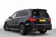 Mercedes-Benz GLS AMG I (X166) Барнаул  - изображение 44
