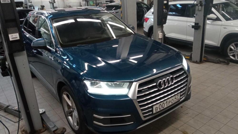 Audi Q7 II (4M) Санкт-Петербург  - изображение 2