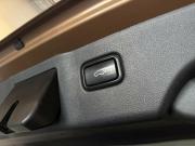 Kia Sorento III Prime Калининград  - изображение 50