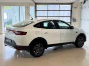 Renault Arkana I Москва  - изображение 24